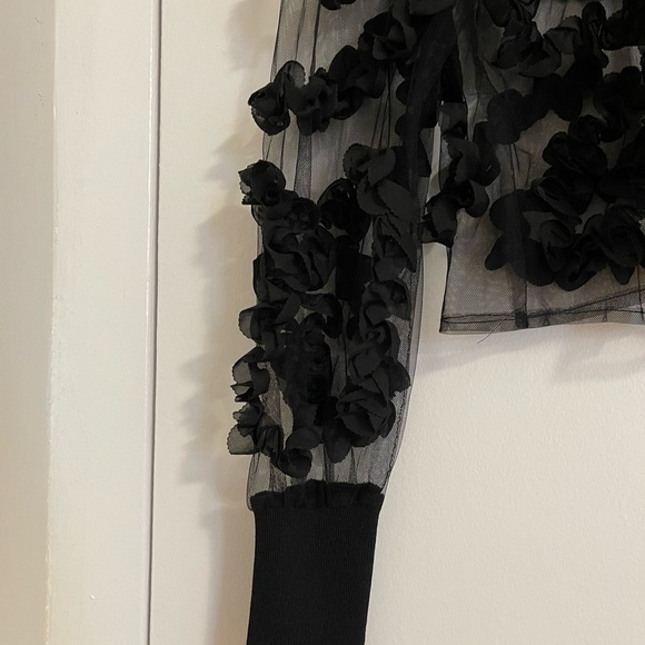 Zara Sheer Blouse - Picture 4 of 7